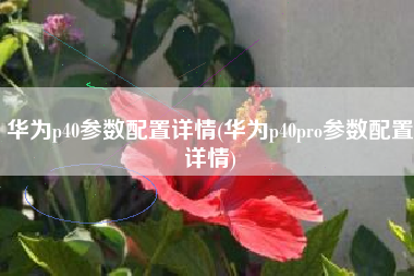 华为p40参数配置详情(华为p40pro参数配置详情)