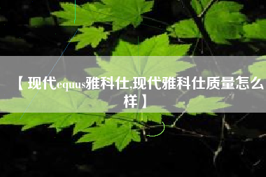 【现代equus雅科仕,现代雅科仕质量怎么样】 【现代equus雅科仕,现代雅科仕质量怎么样】