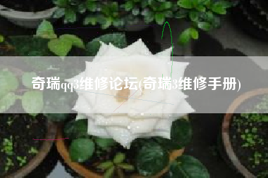 奇瑞qq3维修论坛(奇瑞3维修手册)