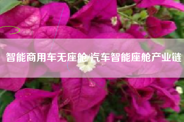 智能商用车无座舱/汽车智能座舱产业链