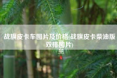战旗皮卡车图片及价格(战旗皮卡柴油版双排图片)