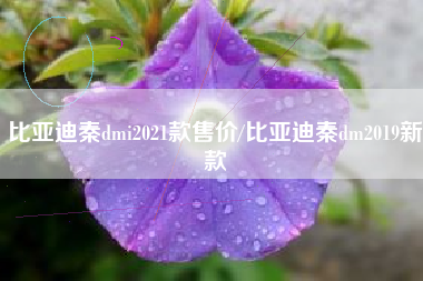 比亚迪秦dmi2021款售价/比亚迪秦dm2019新款