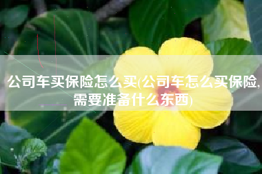 公司车买保险怎么买(公司车怎么买保险,需要准备什么东西)