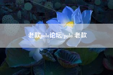 老款polo论坛/polo 老款