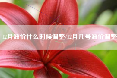 12月油价什么时候调整/12月几号油价调整 12月油价什么时候调整/12月几号油价调整