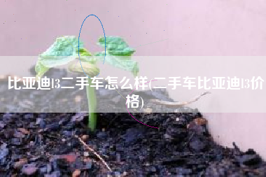 比亚迪l3二手车怎么样(二手车比亚迪l3价格)