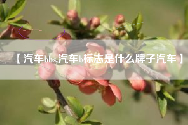 【汽车bbs,汽车b标志是什么牌子汽车】