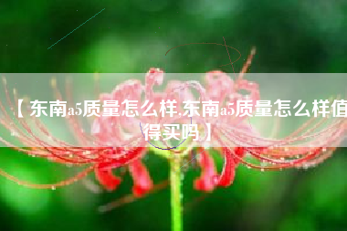 【东南a5质量怎么样,东南a5质量怎么样值得买吗】