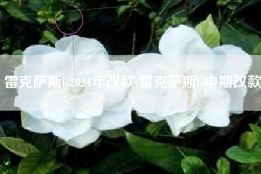 雷克萨斯ls2024年改款(雷克萨斯ls中期改款) 雷克萨斯ls2024年改款(雷克萨斯ls中期改款)