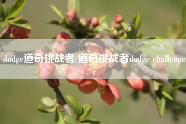 dodge道奇挑战者/道奇挑战者dodge challenger