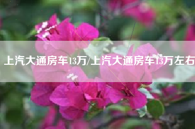 上汽大通房车13万/上汽大通房车13万左右