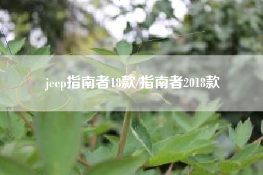 jeep指南者18款/指南者2018款 jeep指南者18款/指南者2018款
