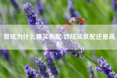 致炫为什么要买低配/致炫买低配还是高配